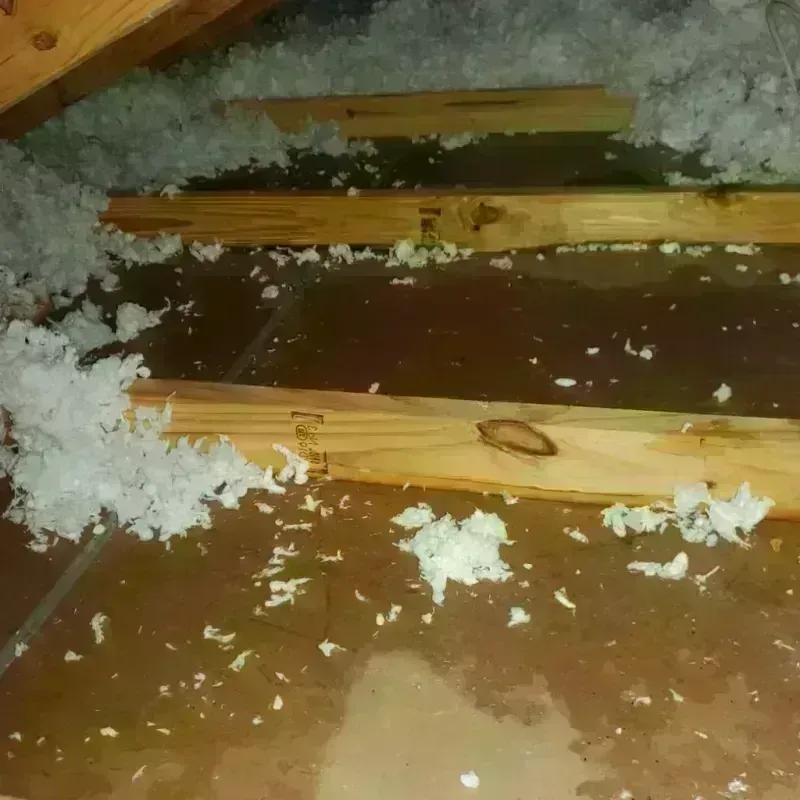 Attic Water Damage in Maryville, MO