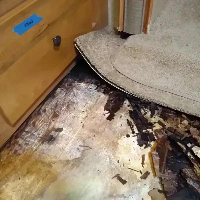 Wood Floor Water Damage in Maryville, MO